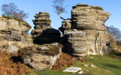 Brimham Rocks